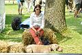 Classic Days schloss dyck 2014_8706
